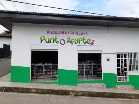 MISCELANEA Y PAPELERÍA PUNTO APARTE