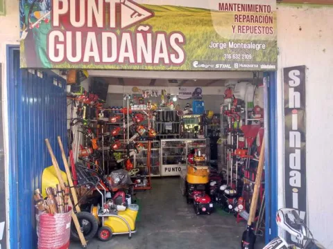 PUNTO GUADAÑAS